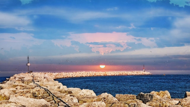 米乐M6公司：乒乓球台弹性